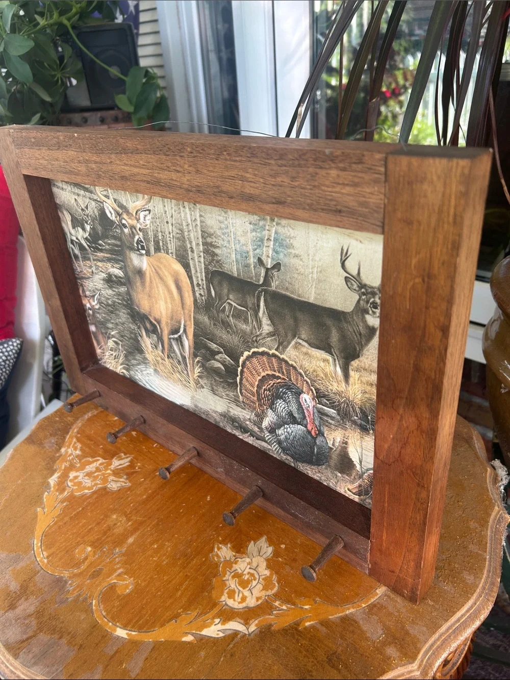 Vintage Framed Wildlife Wall Art with Pegs